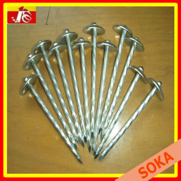 Galvanized roofing nails as building material