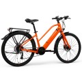 Customized Two Person Electric Bike