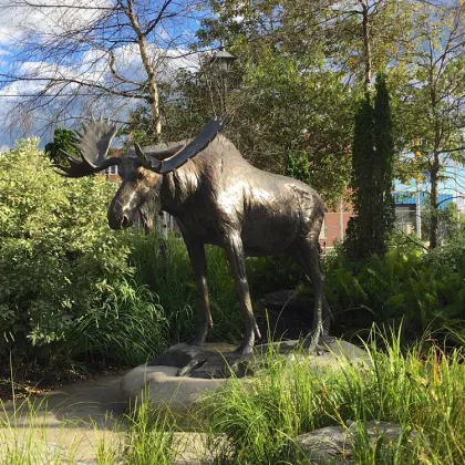 brass moose statue
