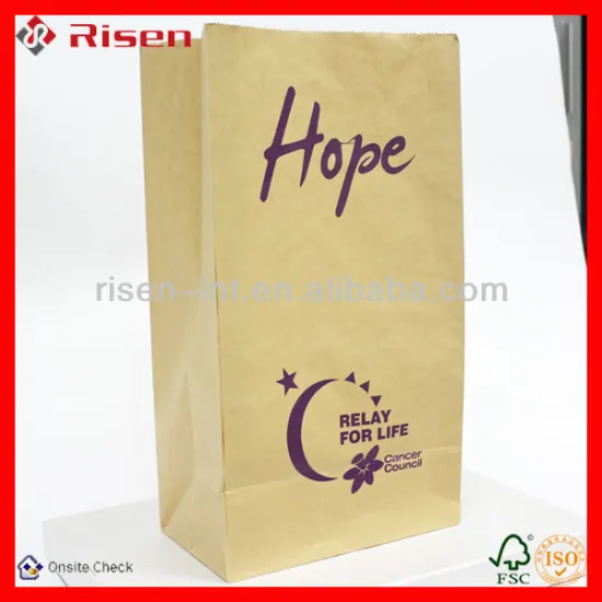 portable brown food packaging bag