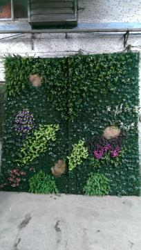 Customized artificial green wall moss wlal