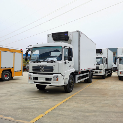 Dongfeng Tianjin Holraring Truck