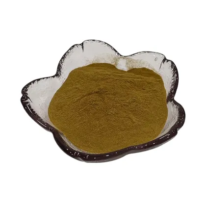 100% pure natural ligusticum sinense oliver extract  powder/ligusticum jeholense extract