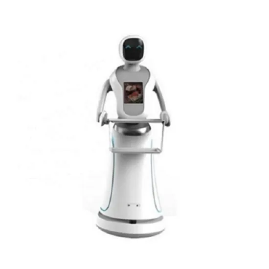 Waiter Robot For Smart Environmentally Friendly Materials