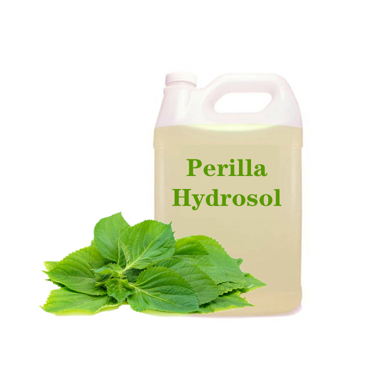 Grosir grosir perilla hydrosol