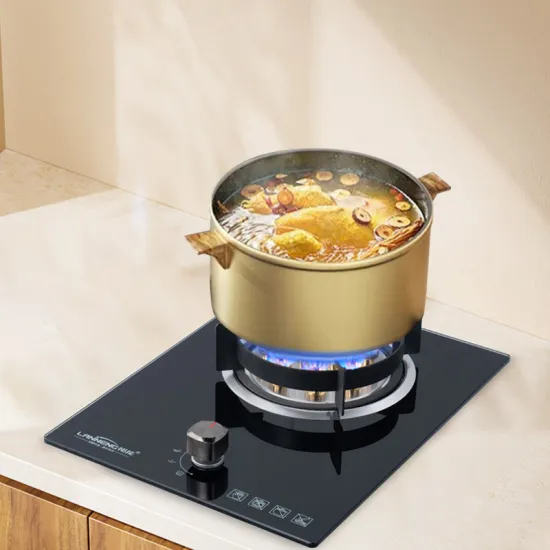 Biogas Cooking Stove - Single Burner Manufacturer