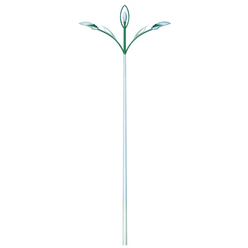 Double Head Street Lighting