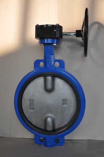 Concentric Wafer Type Butterfly Valve