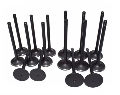 Automotive Intake Valves for Truck Engines