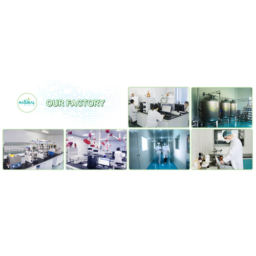 Vitamins ISO CAS 67-97-0 Cholecalciferol vitamin D3 powder Manufactory