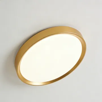 Comfortable lighting LED ceiling lamp