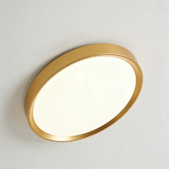 Comfortable lighting LED ceiling lamp