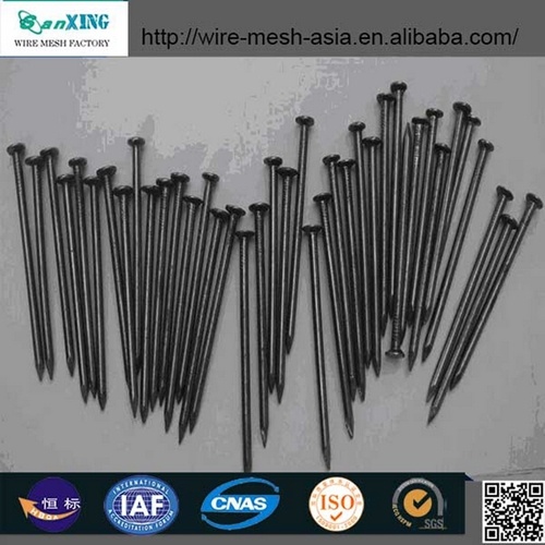 China 2016 Iron Common Nails Tack Nails Factory