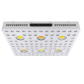 Lámpara de cultivo LED Cree Phlizon CXB3590