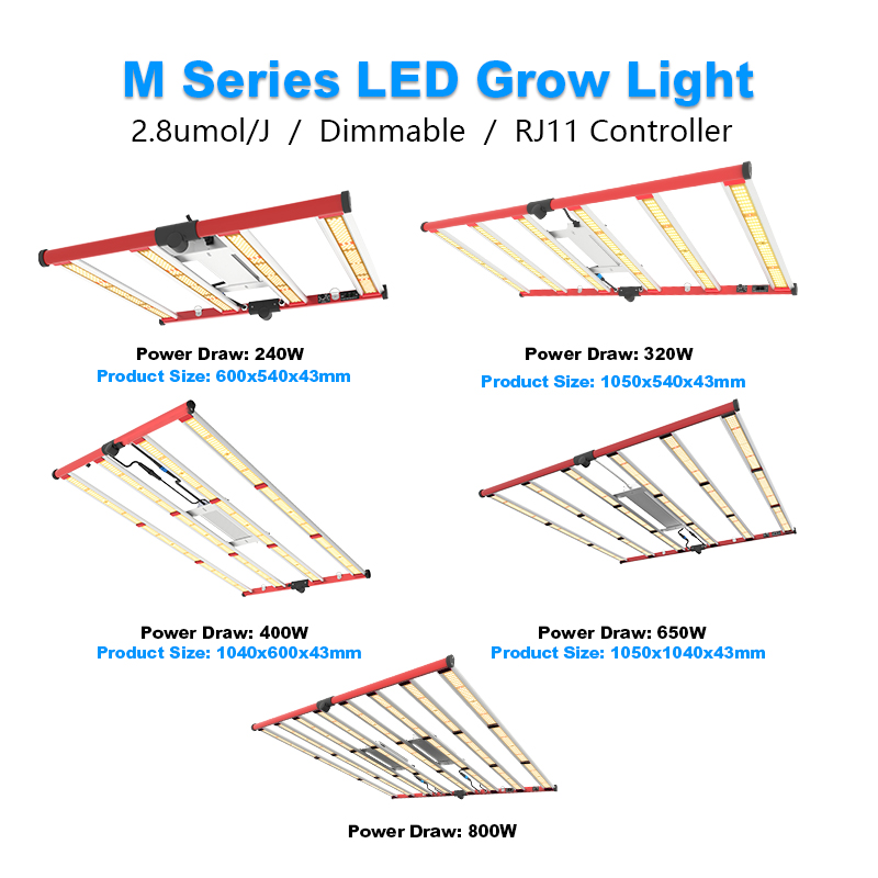 स्टॉक में 240w लाइट LM301B AGLEX . विकसित करें