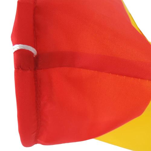 Low Price New Design Wind sock Carp Flags
