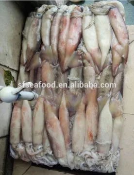 Frozen Whole Round Squid Todarodes Pacificus