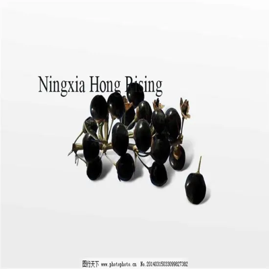 Wild Organic black goji berries Lycium ruthenicum