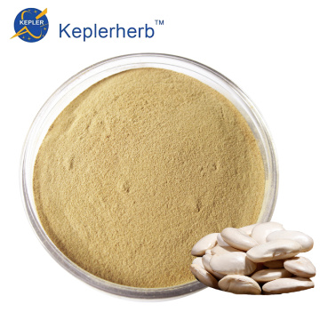 White Kidney Bean Extract