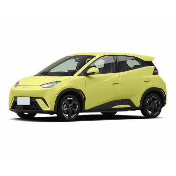 Nhà cung cấp xe hatchback điện của Trung Quốc