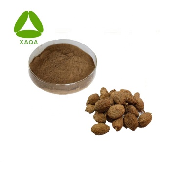 10:1 Amomum Villosum Extract Powder