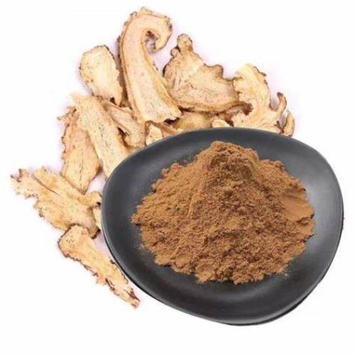 Natural Organic Anti-Oxidant Angelica Radix Extract