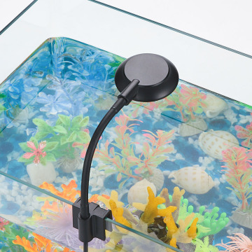Wholesale Mini USB 5W Clip-On Fish Tank Lighting for Freshwater WRGB Full Spectrum