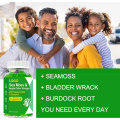 Sea Moss Gummies Irish Vegan Potassium chlorophyll