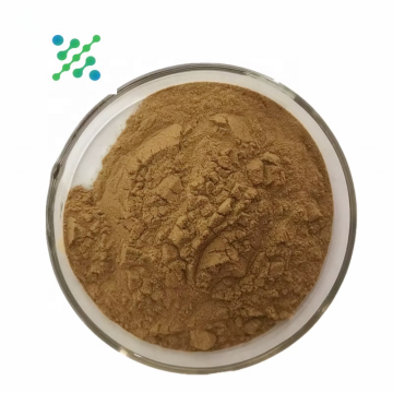 Maca natural de alta qualidade para desempenho masculino