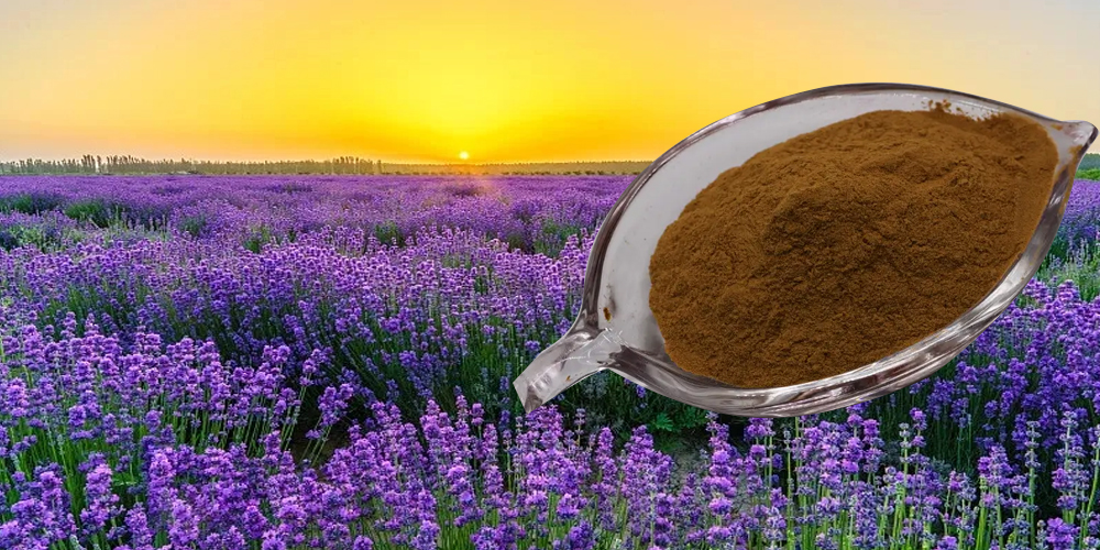 lavender powder