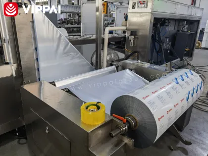 VIPPAI 2024 Hot Medical Cosmetics Eye Care Patch Packing Machine