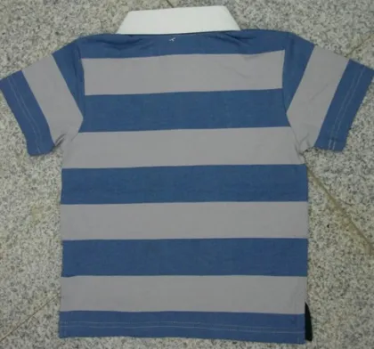 Polo (J-06)