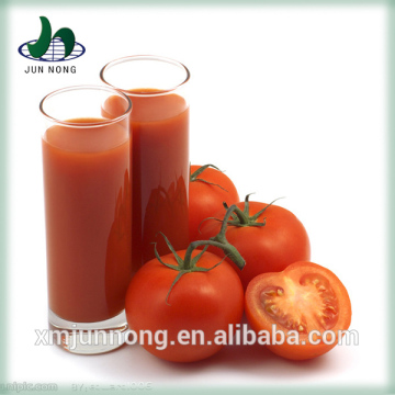 2015 Tomato producer tomato processing plant