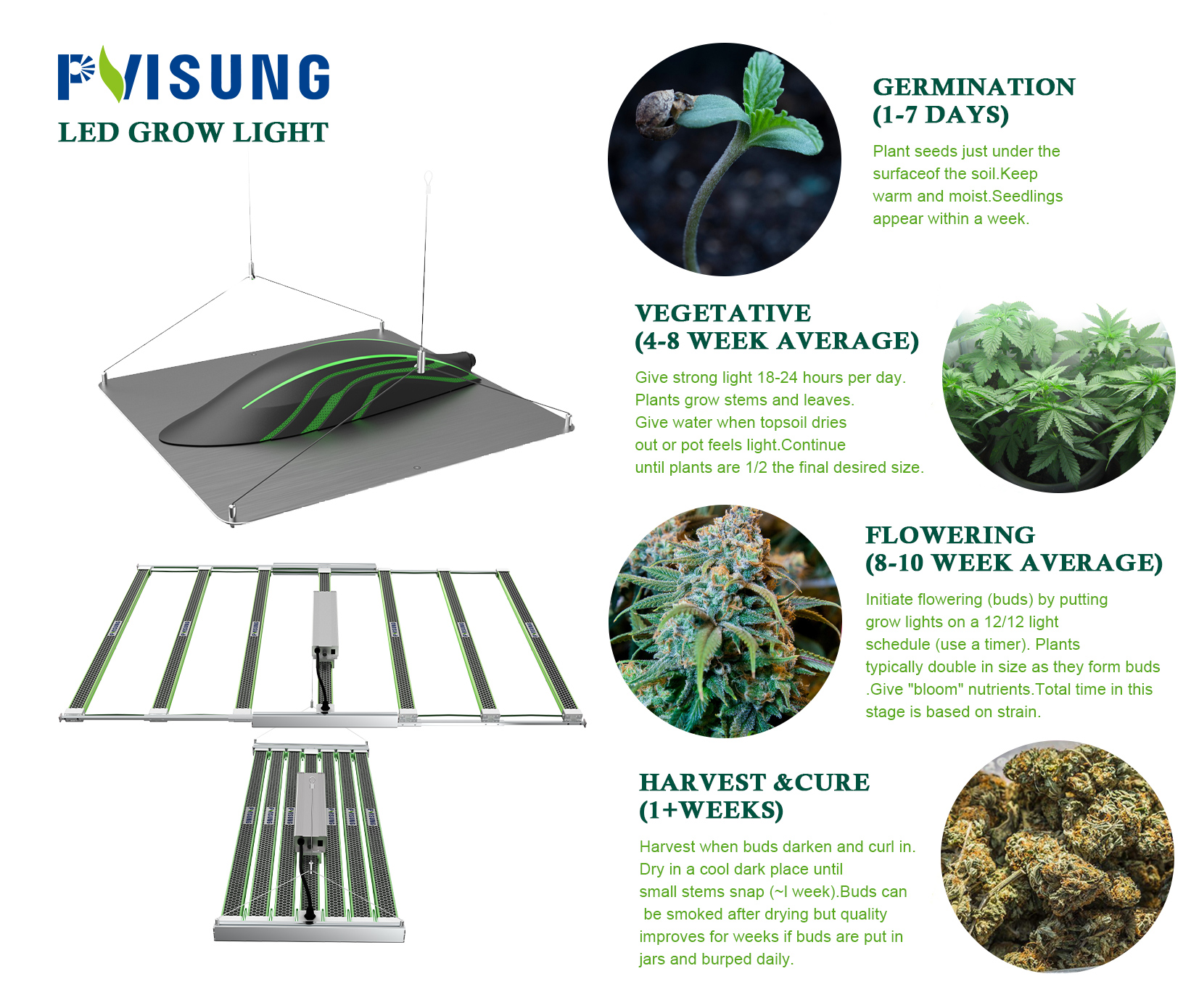 How long does it take to grow cannabis indoors