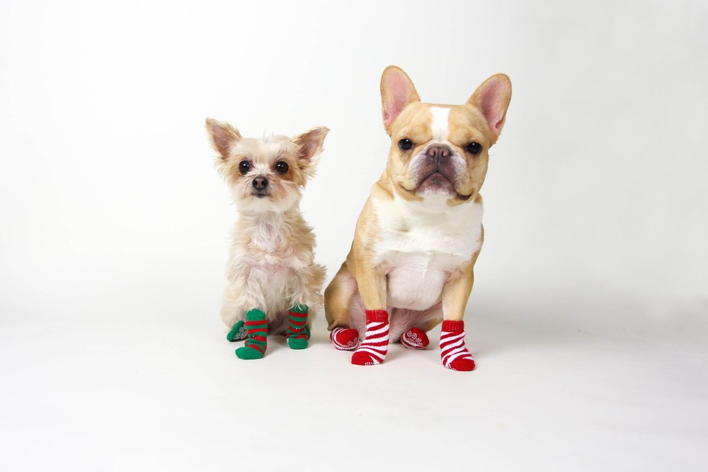 dog socks anti slip dog socks anti slip