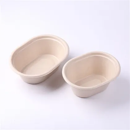 Biodegradable Fast Food Container/Food Box/Lunch Box