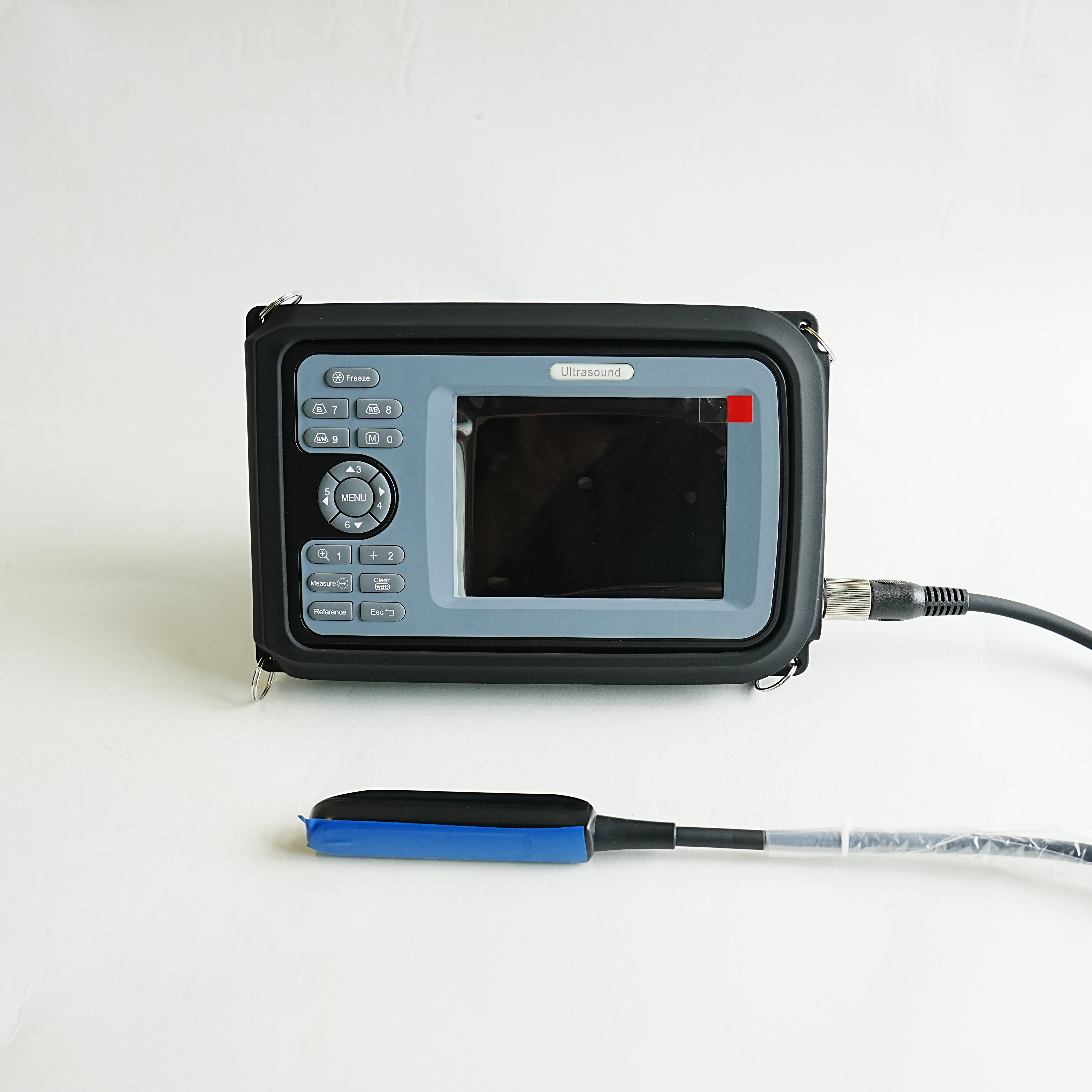 goat pregnancy ultrasound