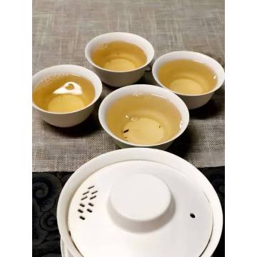 Disposable Pulp Food Containers for Eco-Conscious Dining