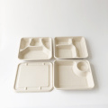 Bagasse sugarcane pulp food tray with dress holder