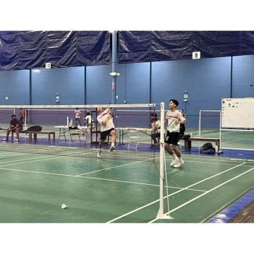 Premium Badminton Steel Pole Set