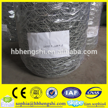 hexagonal iron wire mesh