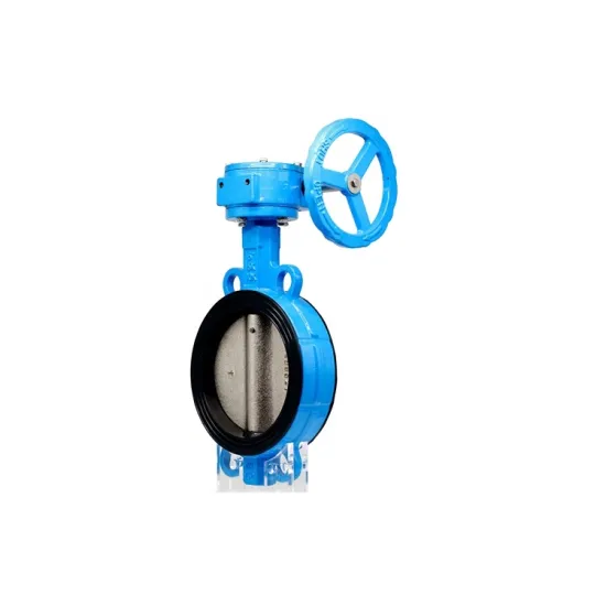 Professional Manufacture DN100 Worm Gear Type Wafer Butterfly Valve Price
