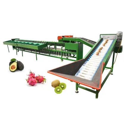 Automatic Fruit Sorting Machine for Tomatoes, Pomegranates, Mandarins, and Oranges