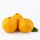 New crop baby mandarin oranges price