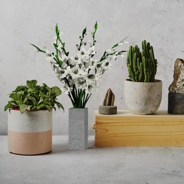 Dekorasi ruang makan beton dekoratif