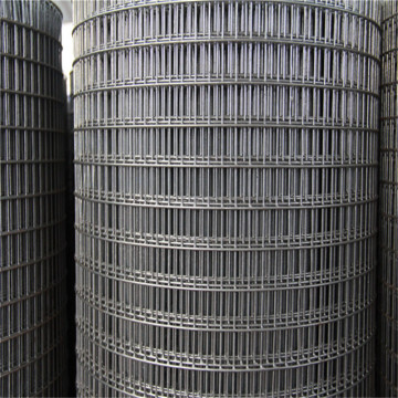 Hot-dipped galvanized Welded Wire Mesh for Chicken