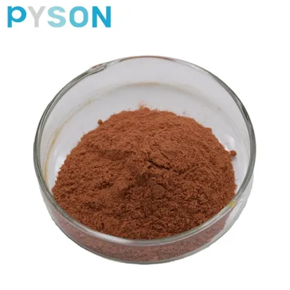 Natural Cinnamon Bark Extract Powder Cinnamon Polyphenols