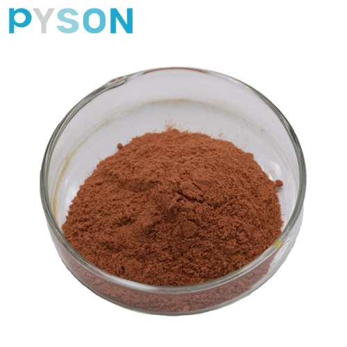 Natural Cinnamon Bark Extract Powder Cinnamon Polyphenols