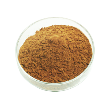 factory supply jujube extract ziziphus jujube extract 50% Jujube polysaccharide