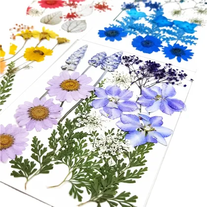 Natural Real Flower Makeup: Cheap Dried Flower Combinations for Embossing and Decoration